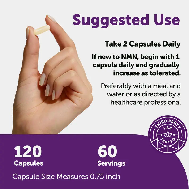 10-in-1 NMN Supplement 1000mg – Ultimate Cellular Energy & Anti-Aging Complex