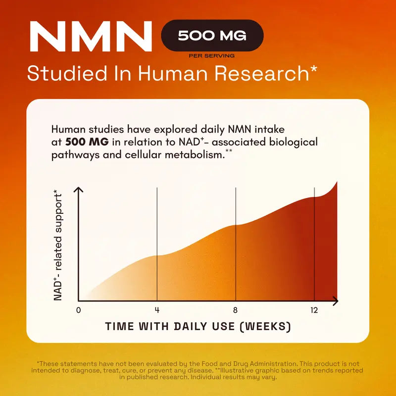 Boost Cellular Energy & NAD+ Levels Daily