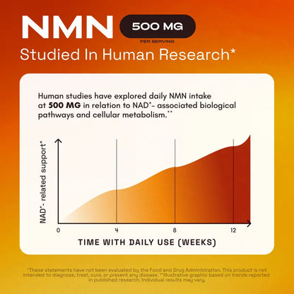 Boost Cellular Energy & NAD+ Levels Daily